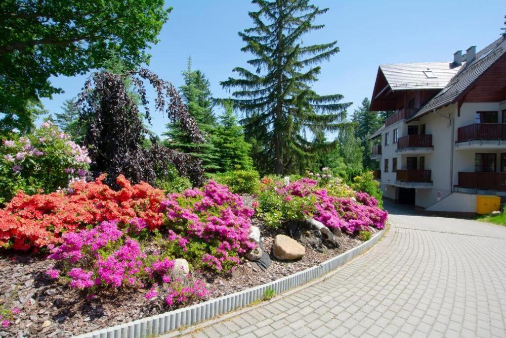 Apartament Polana-Karpacz Bagian luar foto